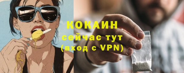 сатива Балахна