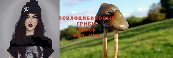 сатива Балахна