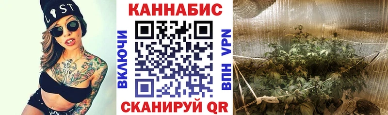 купить наркотики сайты  блэк спрут вход  Шишки марихуана SATIVA & INDICA  Вольск 